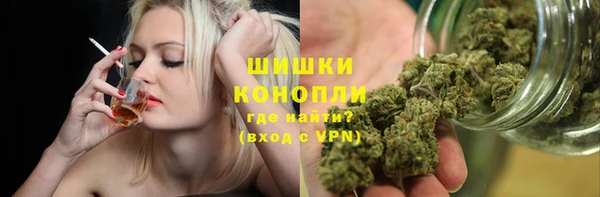 винт Гусь-Хрустальный