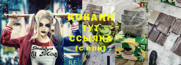 дживик Дмитриев