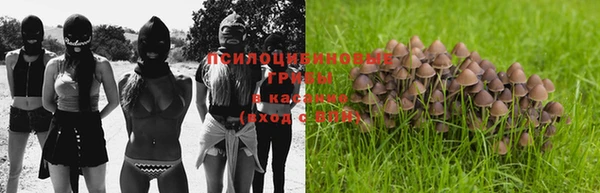 кристаллы Гусев