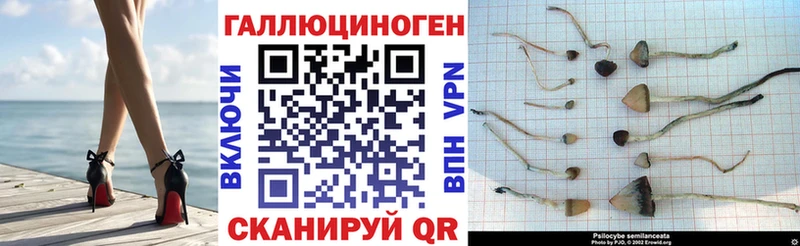 Псилоцибиновые грибы мухоморы  Купить  Пыталово 